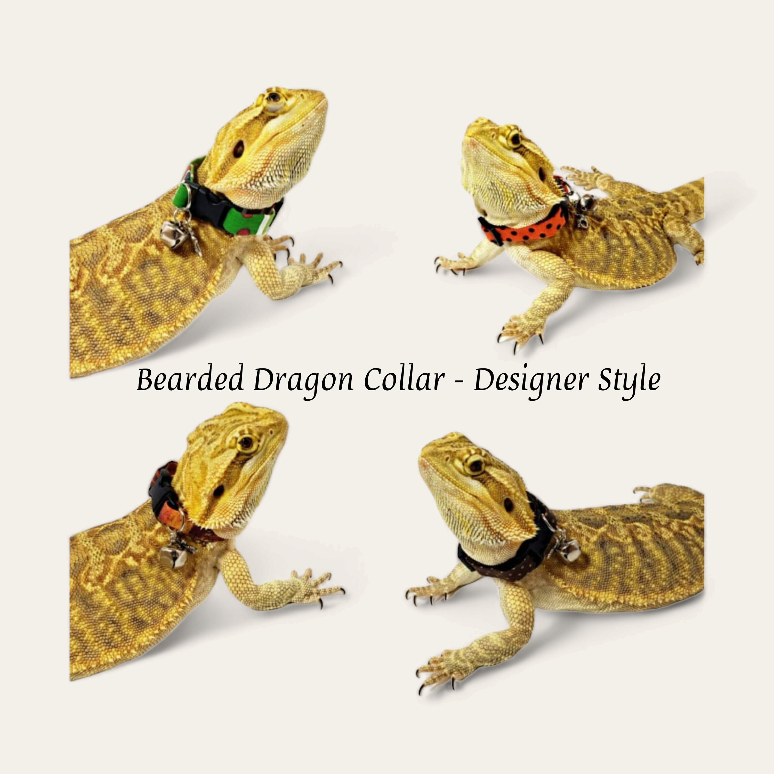Lizard with clearance collar