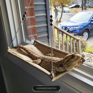 Puede incluir: Una hamaca rectangular de tela color canela para reptiles, suspendida por cadenas de metal plateado con cuentas oscuras, fijada a una ventana con ventosas transparentes. Un dragón barbudo descansa sobre ella. Texto WOODLAND COLLECTION.