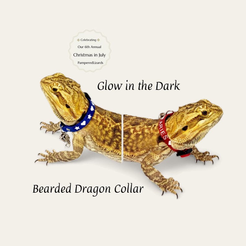 Personalisierte Glow-in-the-Dark verstellbare Eidechse Bell Kragen: Mehrere Größen und Farben Bild 1
