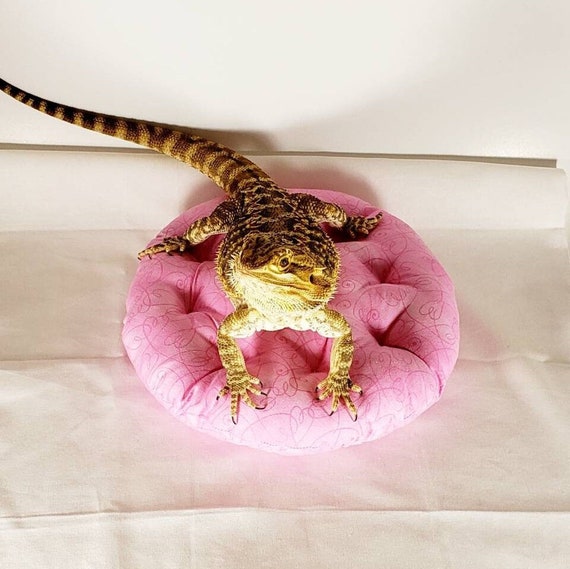 Lizard Pillow Round Lizard Bed Reptile 