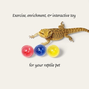 Bolas de golosinas para dragón barbudo: juguete interactivo multicolor para enriquecer lagartos (juego de 3)