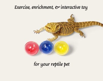 Bearded Dragon Treat Balls: Multicolor, Interactive Lizard Enrichment Toy, Set of 3