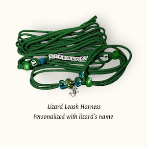 Può includere: Guinzaglio e imbracatura per lucertola verde con un ciondolo a forma di lucertola argentata e perline verdi e blu. Il guinzaglio è personalizzato con il nome "STARBUCKS".