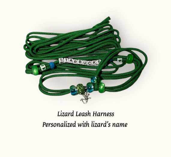 Personalized Adjustable Lizard Leash Harness; One Size Fits All: Multiple Sizes & Colors