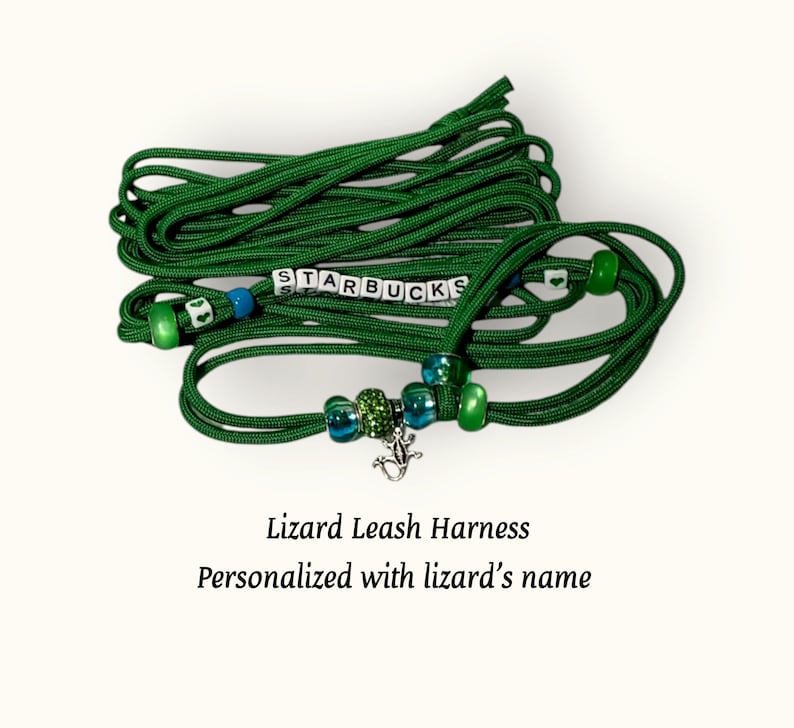 May include: Green lizard leash and harness with a silver lizard charm and green and blue beads. The leash is personalized with the name "STARBUCKS".