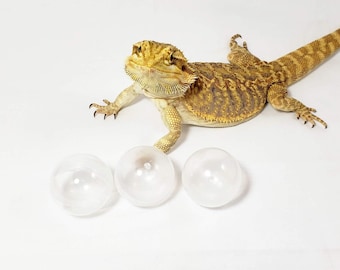 Bearded Dragon Treat Balls, Clear (2" - 50mm), set of 3 Lizard Toy Balls each with different size hole. Gift for reptile enthusiast.