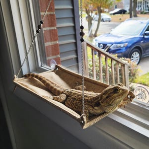 Bearded Dragon Window Perch, Lizard Window Hammock, Reptile Bed, Lizard Window Hammock, Reptile Tank Accessories, Suitable For Lizard Bearded Dragon