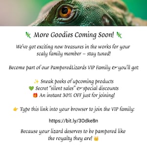 Personalized Adjustable Lizard Bell Collar: Multiple Sizes & Colors image 7