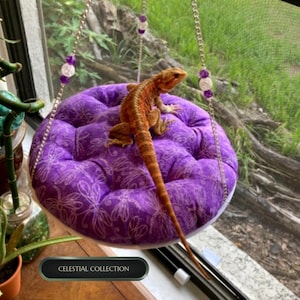 Bearded Dragon Lizard Pillow Swing, Papasan Style Lounger, Celestial Collection, Multiple Sizes & Fabric Designs