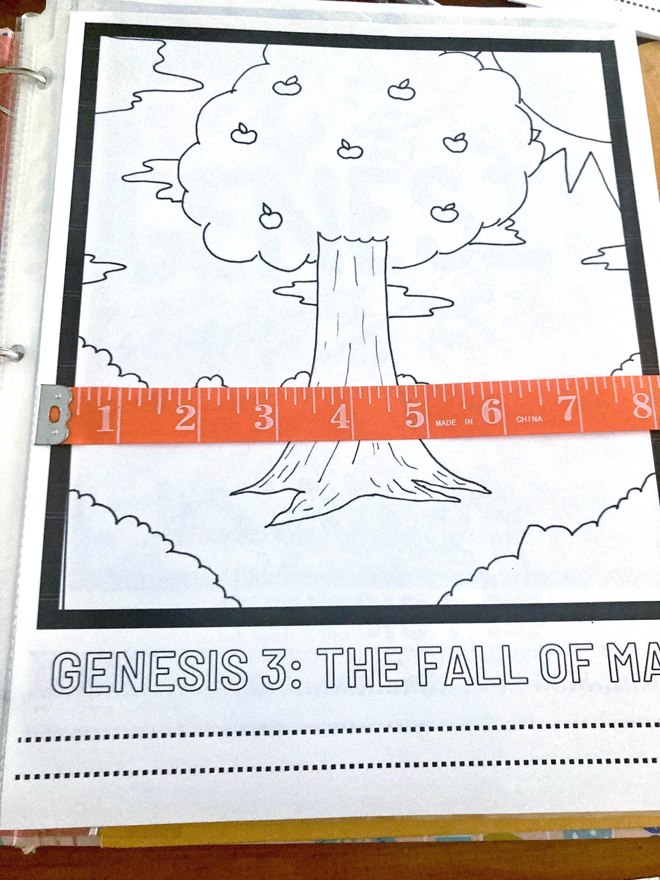 The Fall of Man - Genesis 3 Coloring Page | Bible Study Digital ...