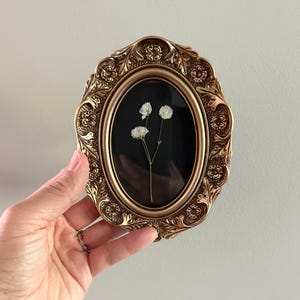 Vintage-Inspired Pressed Babies Breath Flowers in Gold Ornate Frame