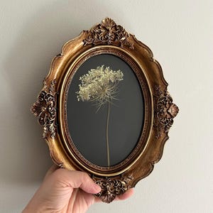 以下が含まれることがあります： 暗い背景に、ドライフラワーのアレンジメントが入った、楕円形の豪華な金色のフレーム。 フレームは複雑なディテールとヴィンテージな美しさがあり、壁の装飾に適しています。