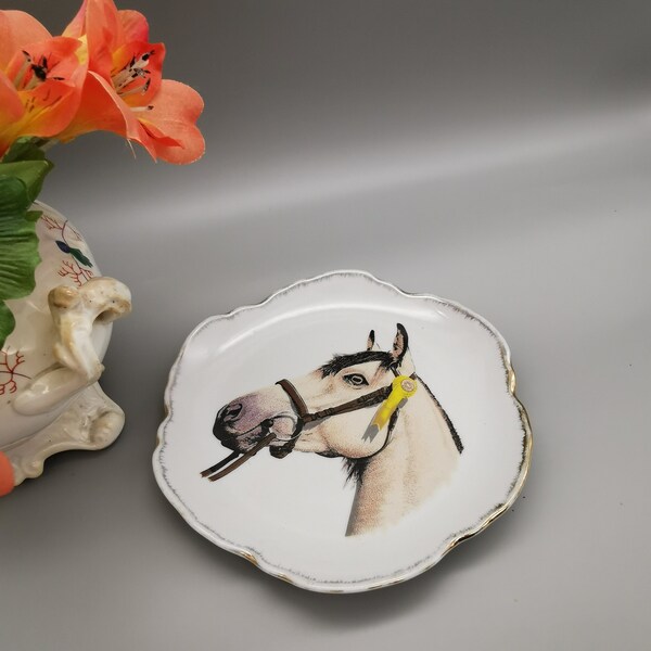 Vintage Decorative Plate Of Dun Connemara Pony