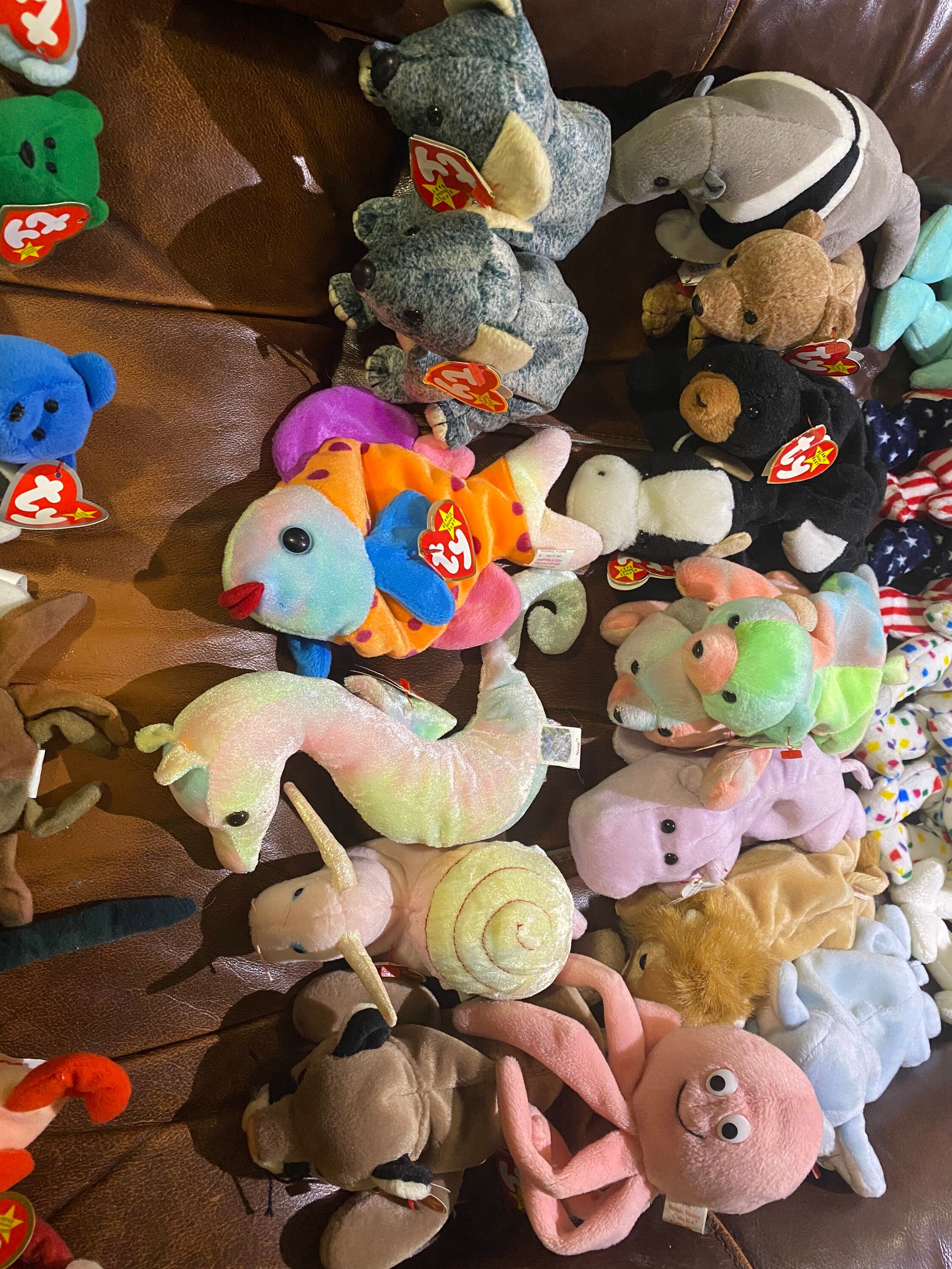 Collection of collectible TY BEANIE BABIES. Willing to | Etsy