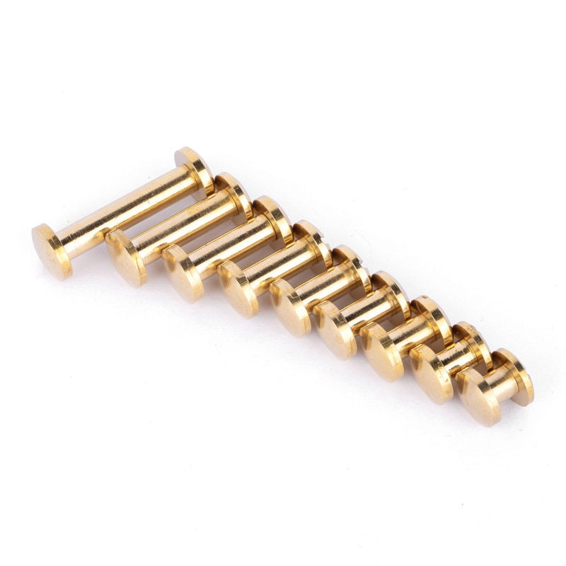 Belt Tip Replacement Screws 10 pack 7800-00 : Arts, Crafts &  Sewing