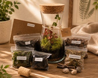 DIY Complete Terrarium Kit with Plants, Glass Jar, Moss, UK Handmade, Instructions.