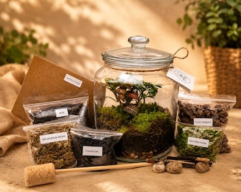 DIY Complete Terrarium Kit with Plants, Glass Jar, Moss, UK Handmade