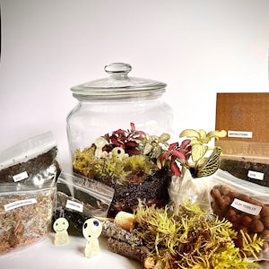May include: A terrarium kit containing a glass jar, soil, moss, charcoal, clay pebbles, and two small figurines. The kit also includes instructions for creating a terrarium.