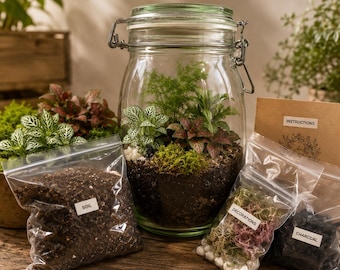 Puede incluir: Un kit de terrario de vidrio con tapa abisagrada, lleno de tierra, plantas y elementos decorativos. El kit incluye bolsas etiquetadas como "Soil", "Decorations" y "Charcoal", junto con una tarjeta de instrucciones. El terrario está sobre una superficie de madera.