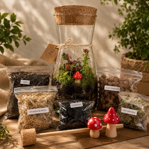 May include: A terrarium kit featuring a glass container with a cork stopper, alongside soil, sphagnum moss, charcoal, clay pebbles, and decorative elements. Includes two red mushroom ornaments. The kit is designed for creating a miniature garden.