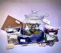 DIY Complete Terrarium Kit with Plants, Glass Jar, Moss, UK Handmade