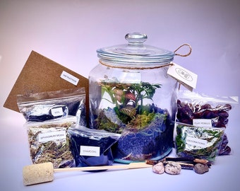 DIY Complete Terrarium Kit with Plants, Glass Jar, Moss, UK Handmade