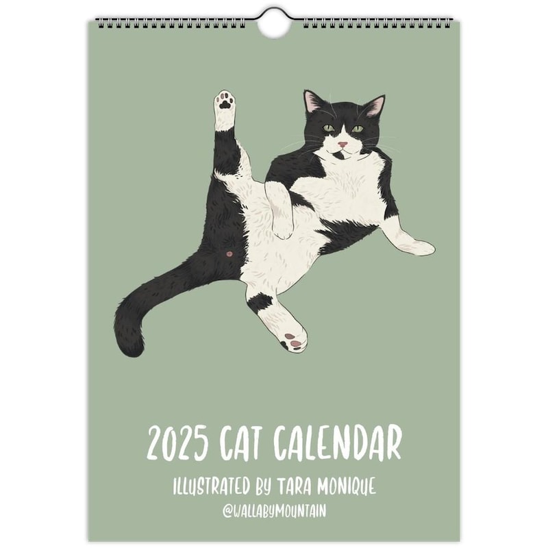 Cat 2025 Gift 60+ Gift Ideas for 2025