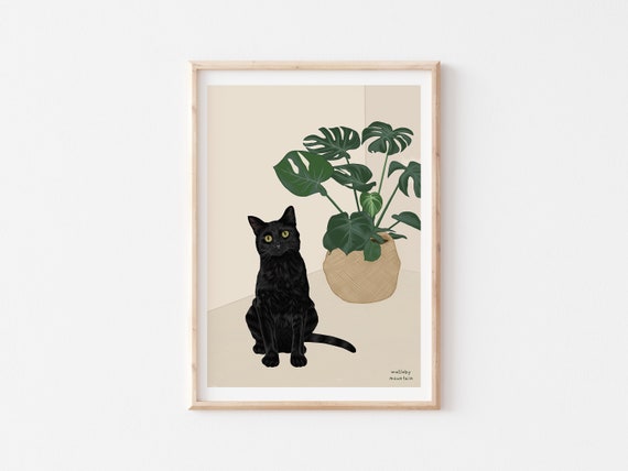 philodendron new yorker 4