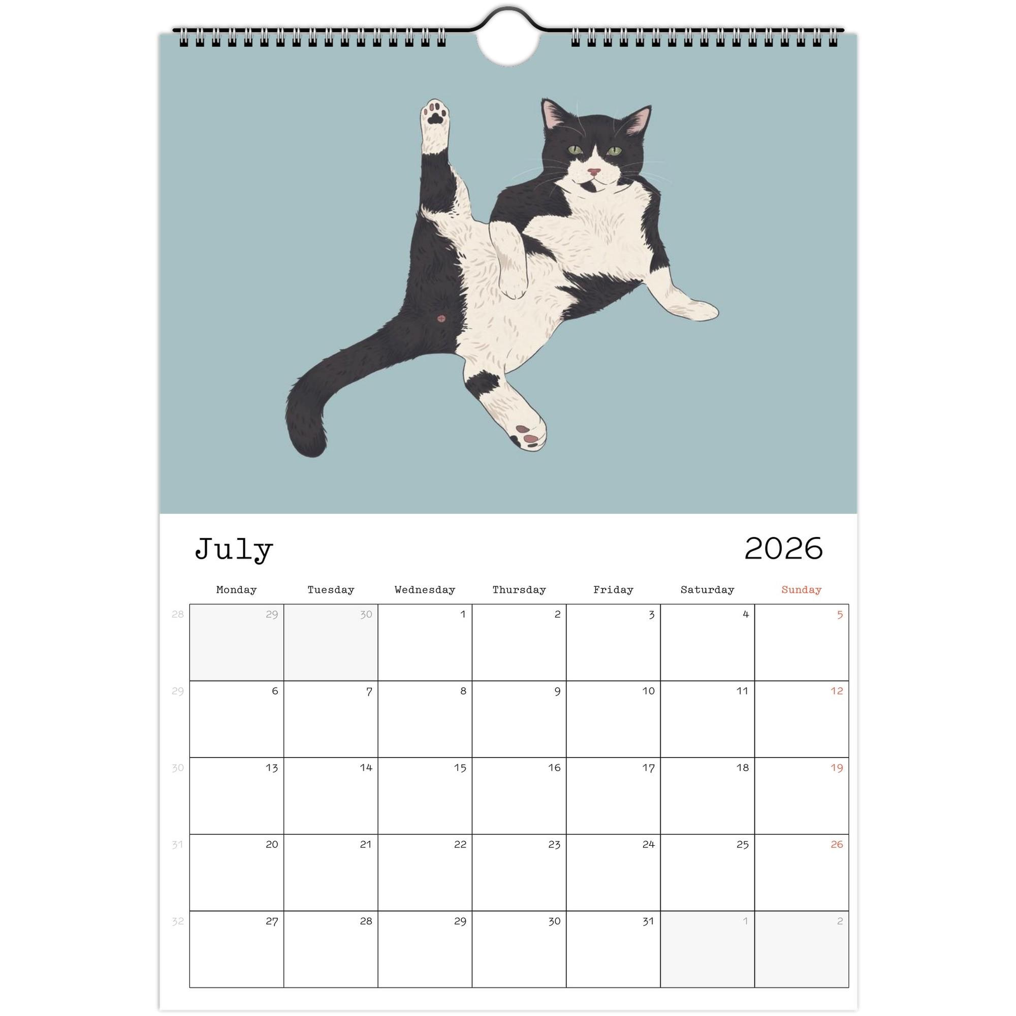 Calendrier Mural 2026 Calendrier 2026 J'aime Les Chatons Toutes Couleurs Mignon Format 30x60cm Sans Film Plastique