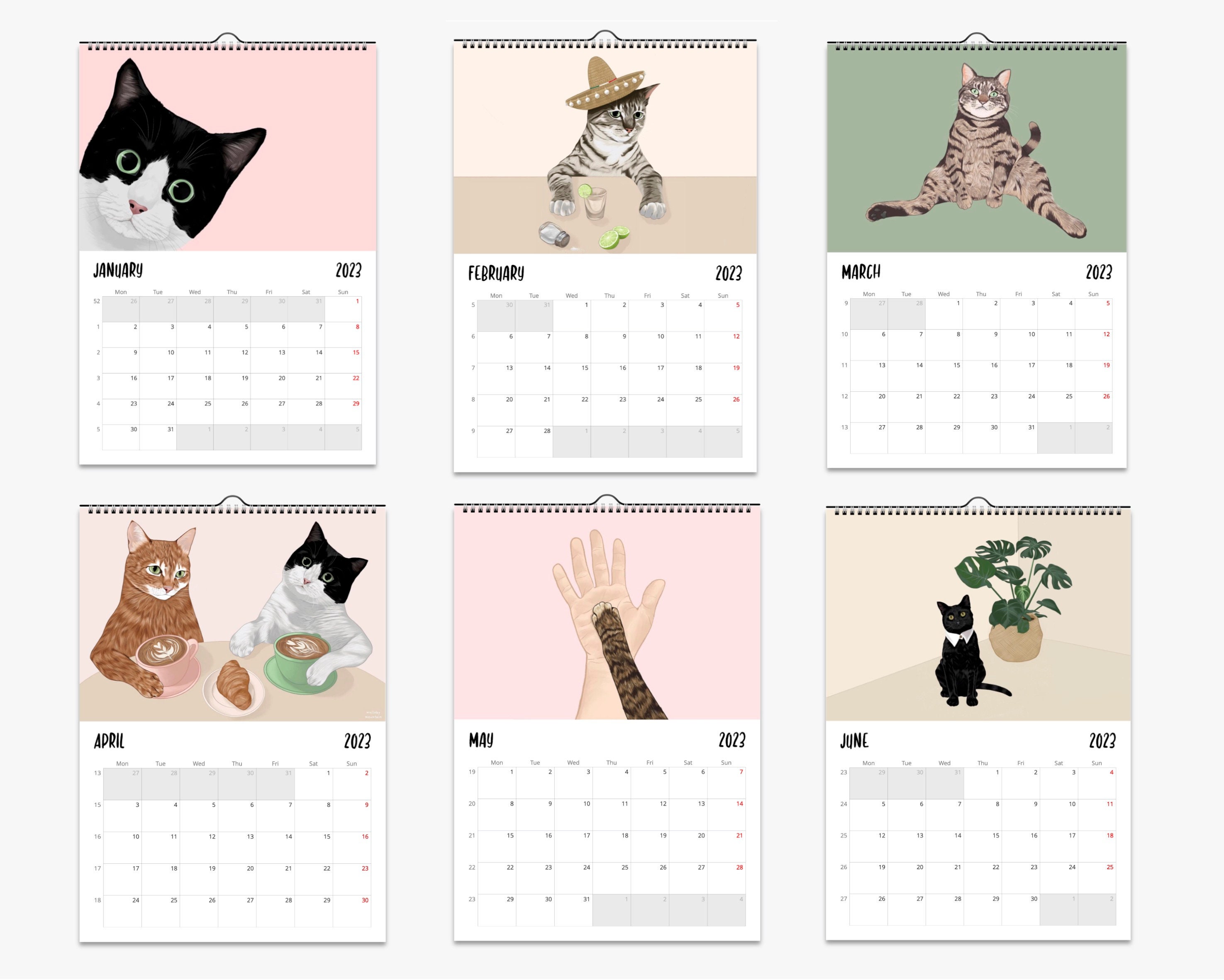 Calendrier mural 2024 chat, calendrier chat, impression de chat