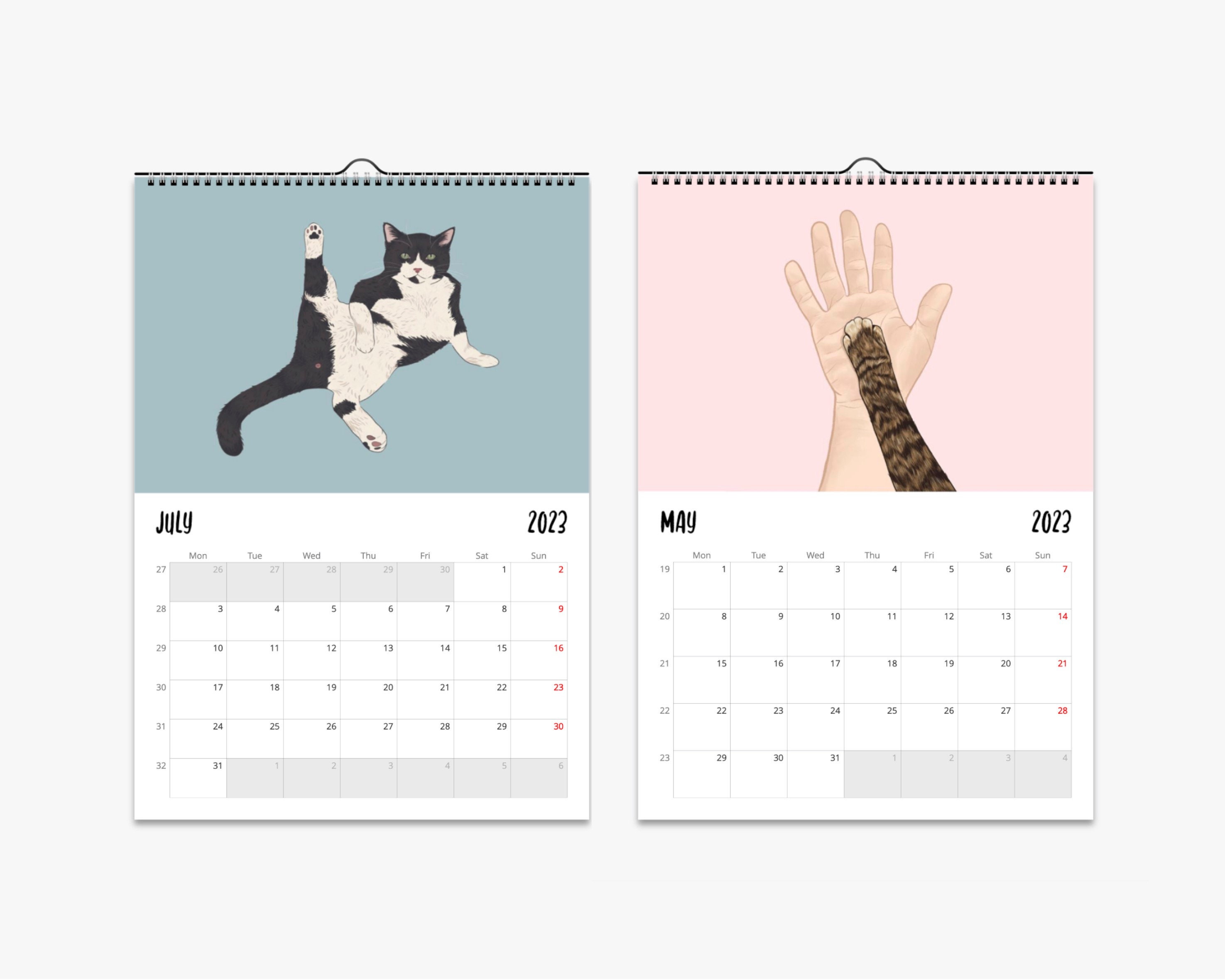 Calendrier des boules de chat 2024 | Calendrier de chat à suspendre de 12  mois - Calendrier animal mignon, calendrier mural 2024 durable pour chambre
