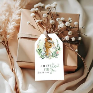 Pferd Geburtstag Tag Printable EDITIERBARE Einladungen Pony Tag Sofortiger download HRS01