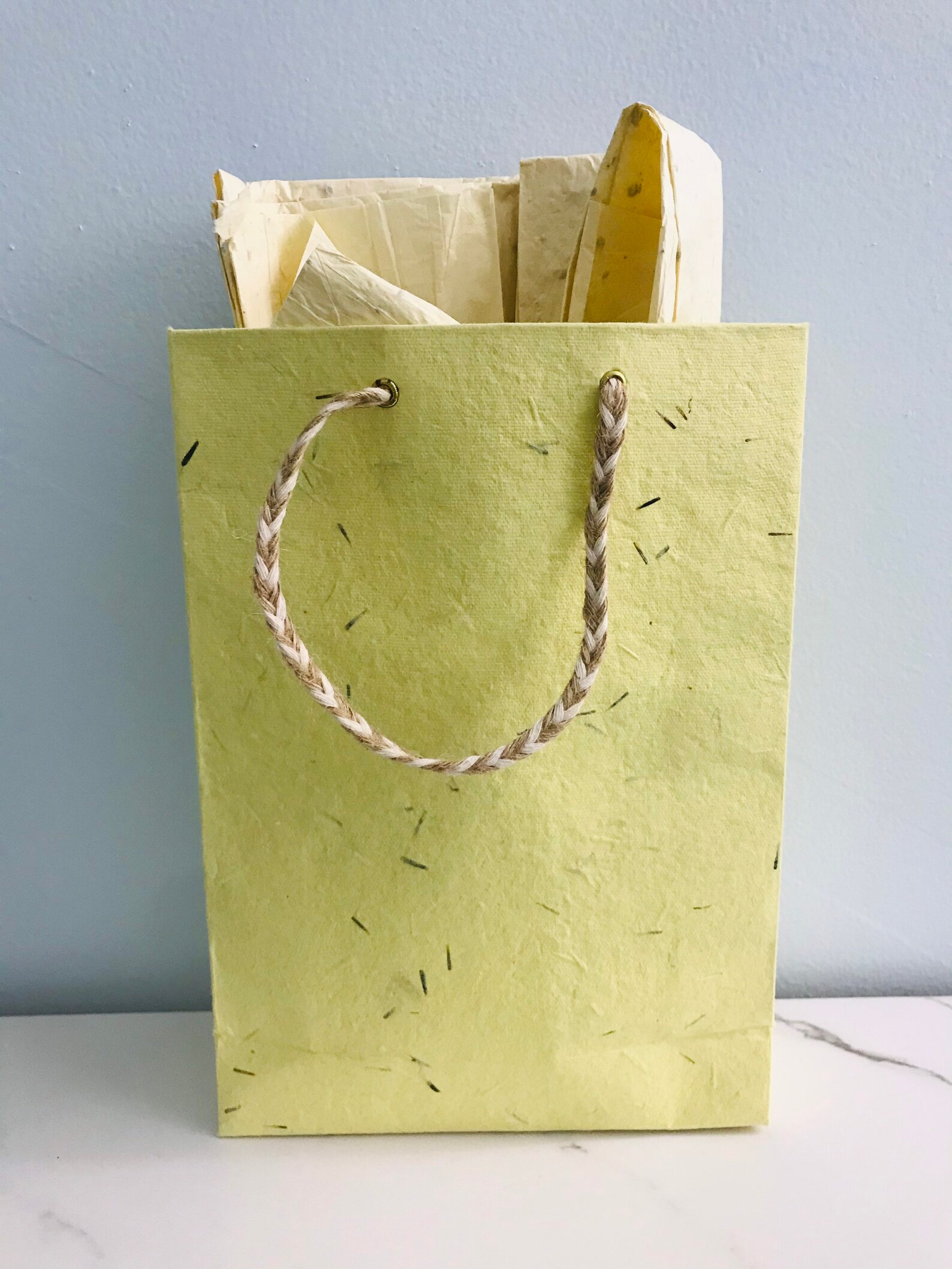 Plantable Gift Bag and Plantable Tissue Paper Set Etsy