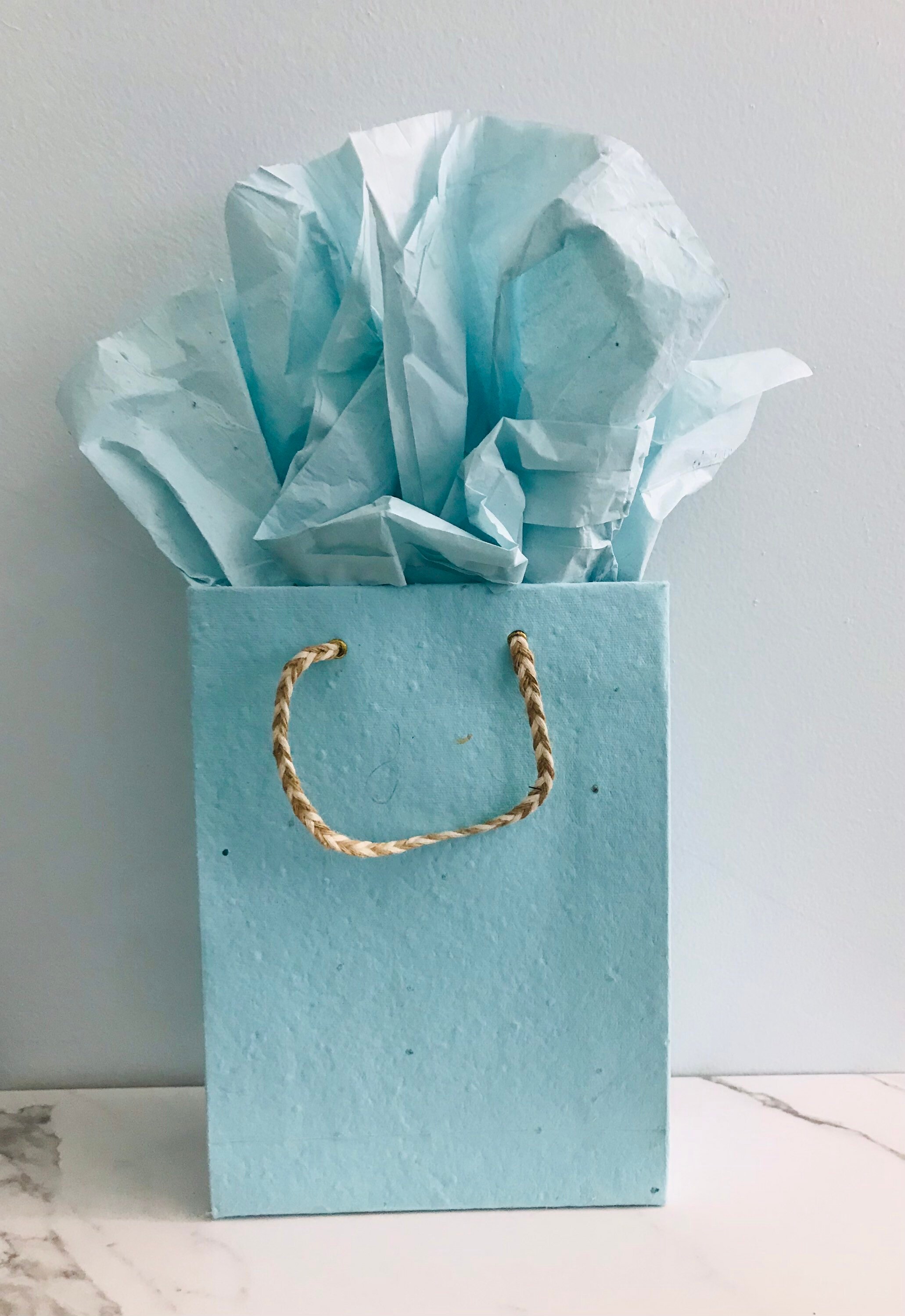 Plantable Gift Bag and Plantable Tissue Paper Set Etsy