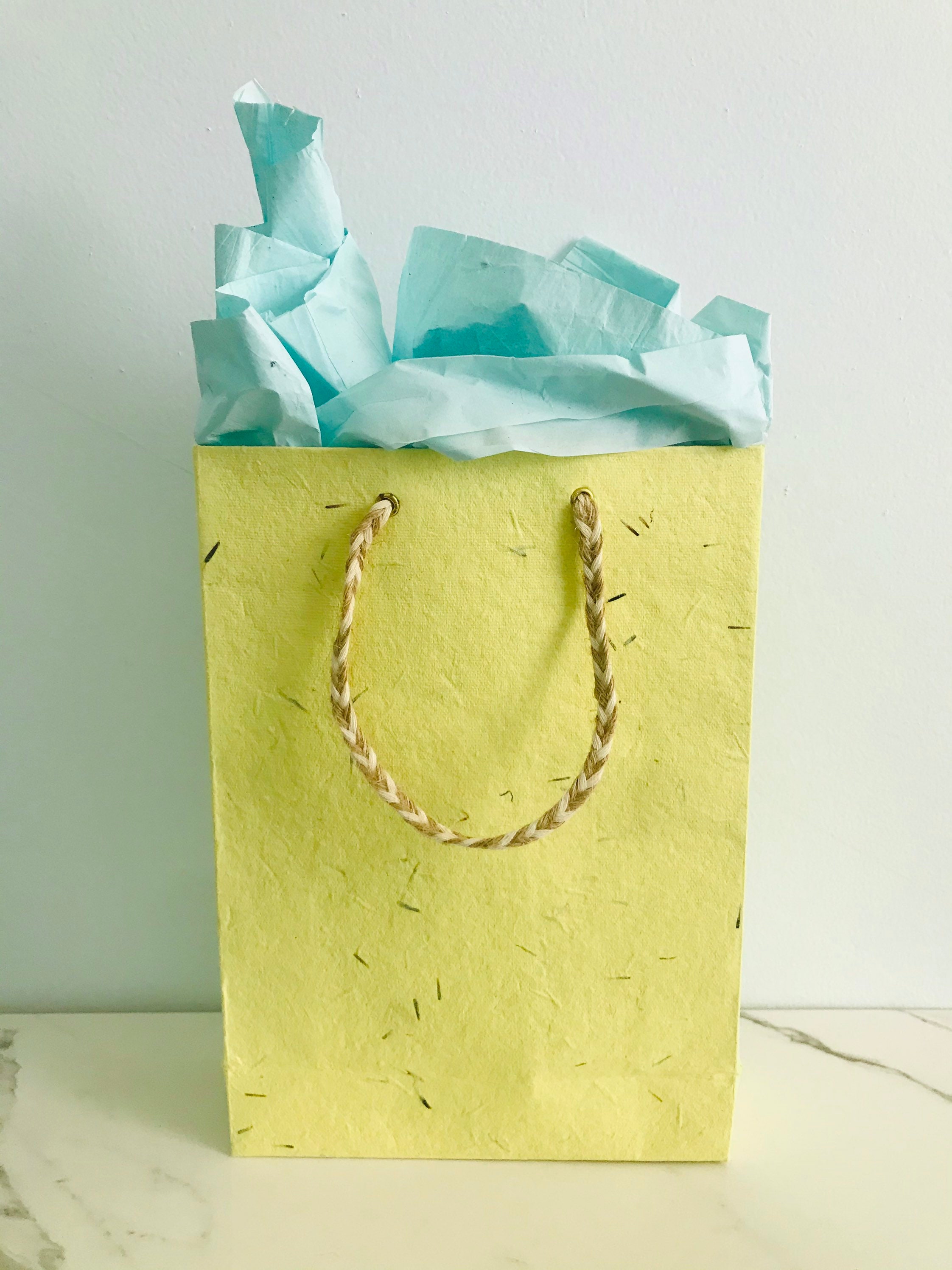 Plantable Gift Bag and Plantable Tissue Paper Set Etsy