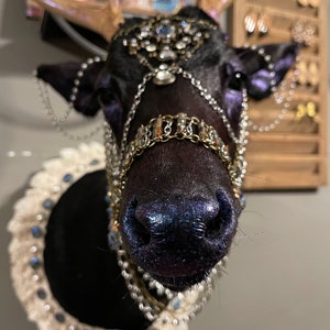 Puede incluir: Una cabeza de ciervo de taxidermia negra adornada con una corona de joyas y cadenas. La nariz del ciervo est&aacute; pintada de azul y morado brillante.