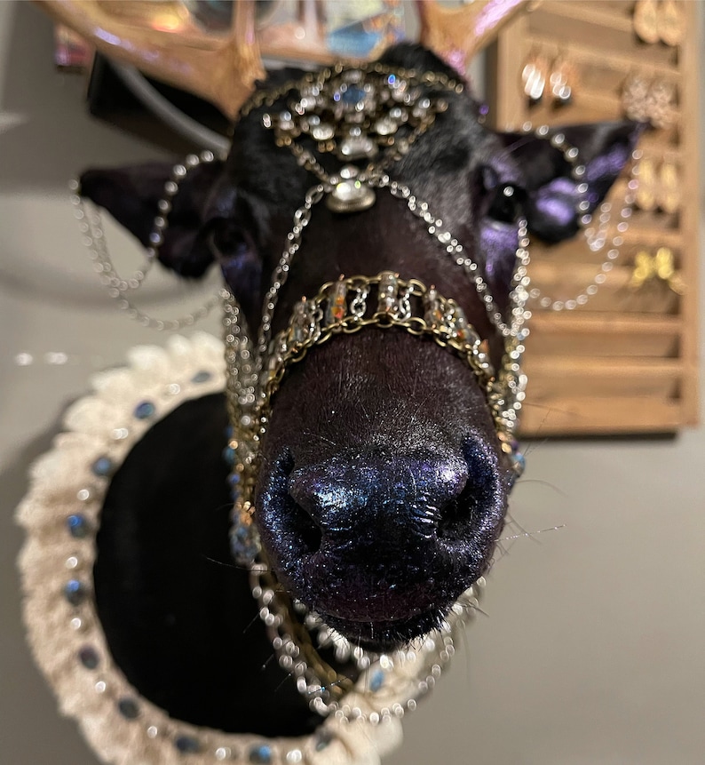 Puede incluir: Una cabeza de ciervo de taxidermia negra adornada con una corona de joyas y cadenas. La nariz del ciervo est&aacute; pintada de azul y morado brillante.