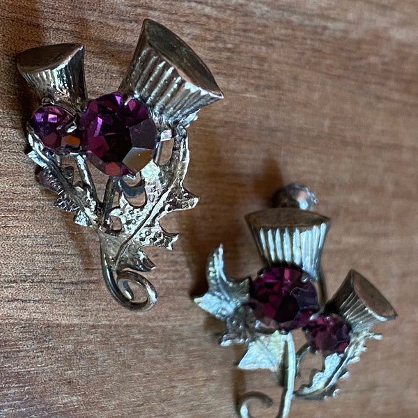 Vintage Ward brothers Purple rhinestone thistle screwback earrings