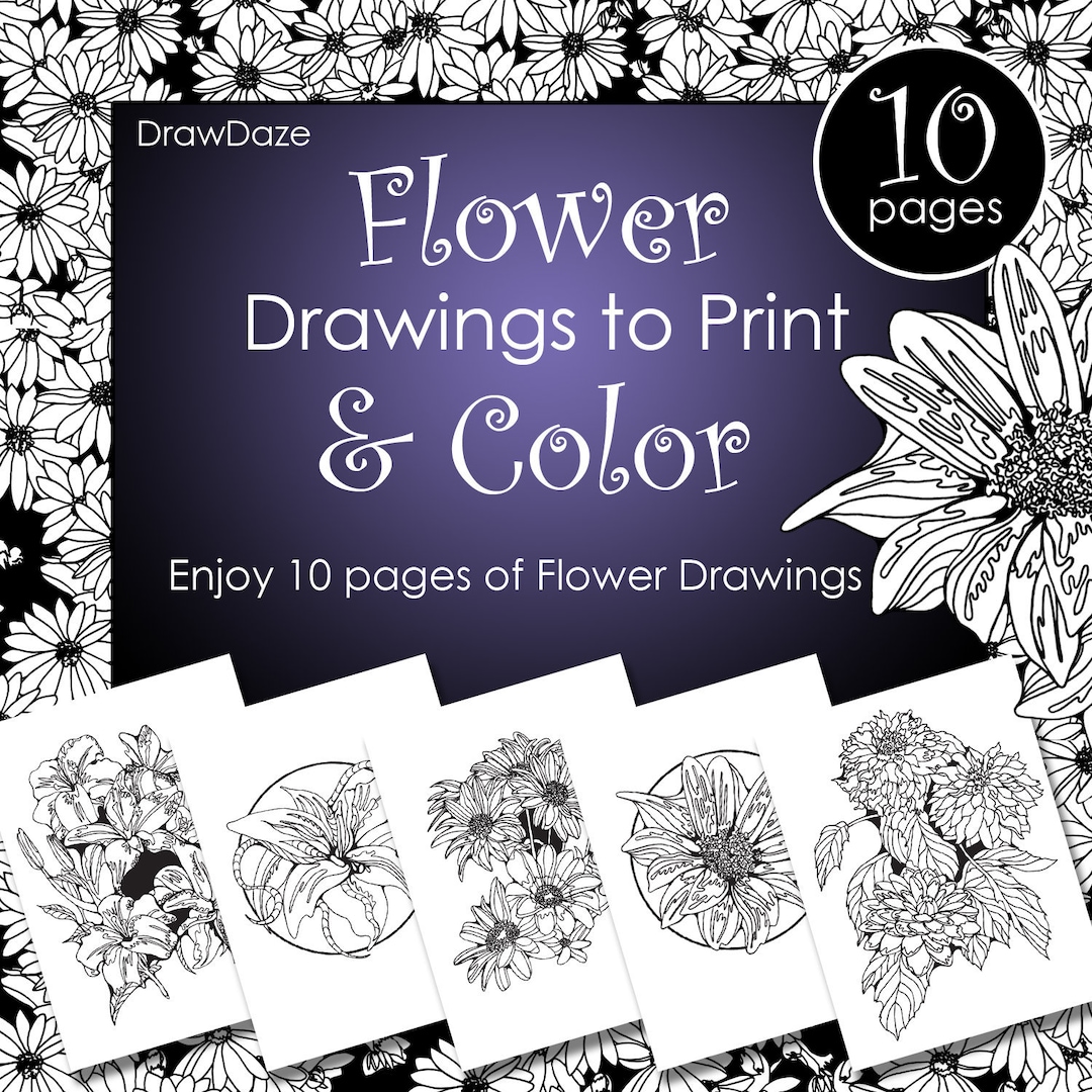 10 Pages of Flower Drawings to Print and Colour - Etsy