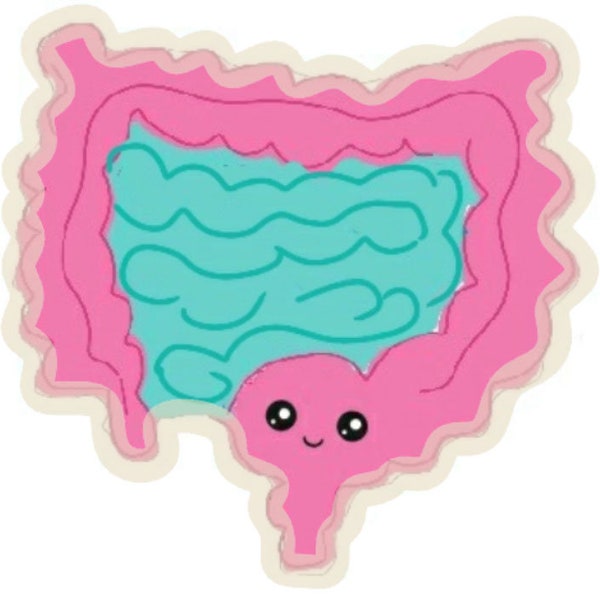 Intestine, Colon, Ascending, Descending, Transverse, Kawaii, Cookie Cutter, Cookie, Cutter, Duodenum, Jejunum, Ileum, Large Intestine