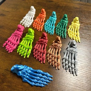 Könnte beinhalten: Eine Sammlung von 11 in 3D gedruckten Fußknochen in verschiedenen Farben, darunter Weiß, Orange, Blau, Grün, Gelb, Rosa, Rot, Braun und Grau.