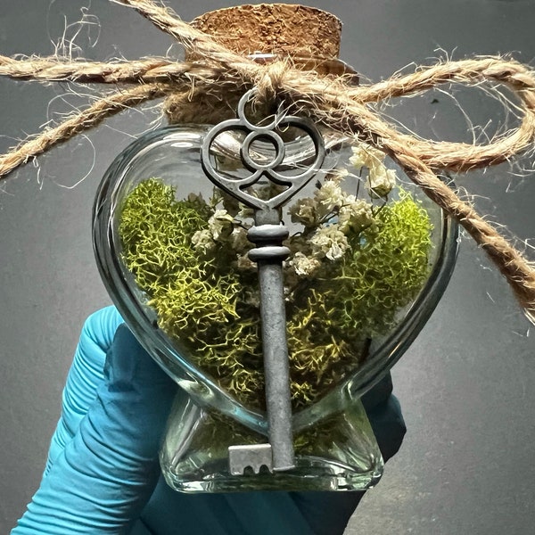 Bouteilles en verre en forme de coeur. Fleurs séchées. Pots botaniques.