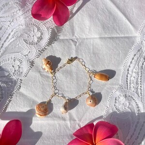 May include: A gold-toned chain bracelet adorned with various seashells. The bracelet features a delicate chain design and is embellished with several uniquely shaped shells in shades of beige and brown. Pink flowers are scattered around the bracelet.