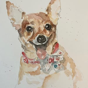 Ritratti di animali domestici personalizzati
