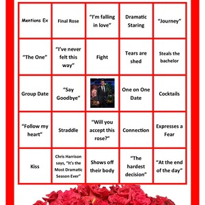 De Bachelor BINGO