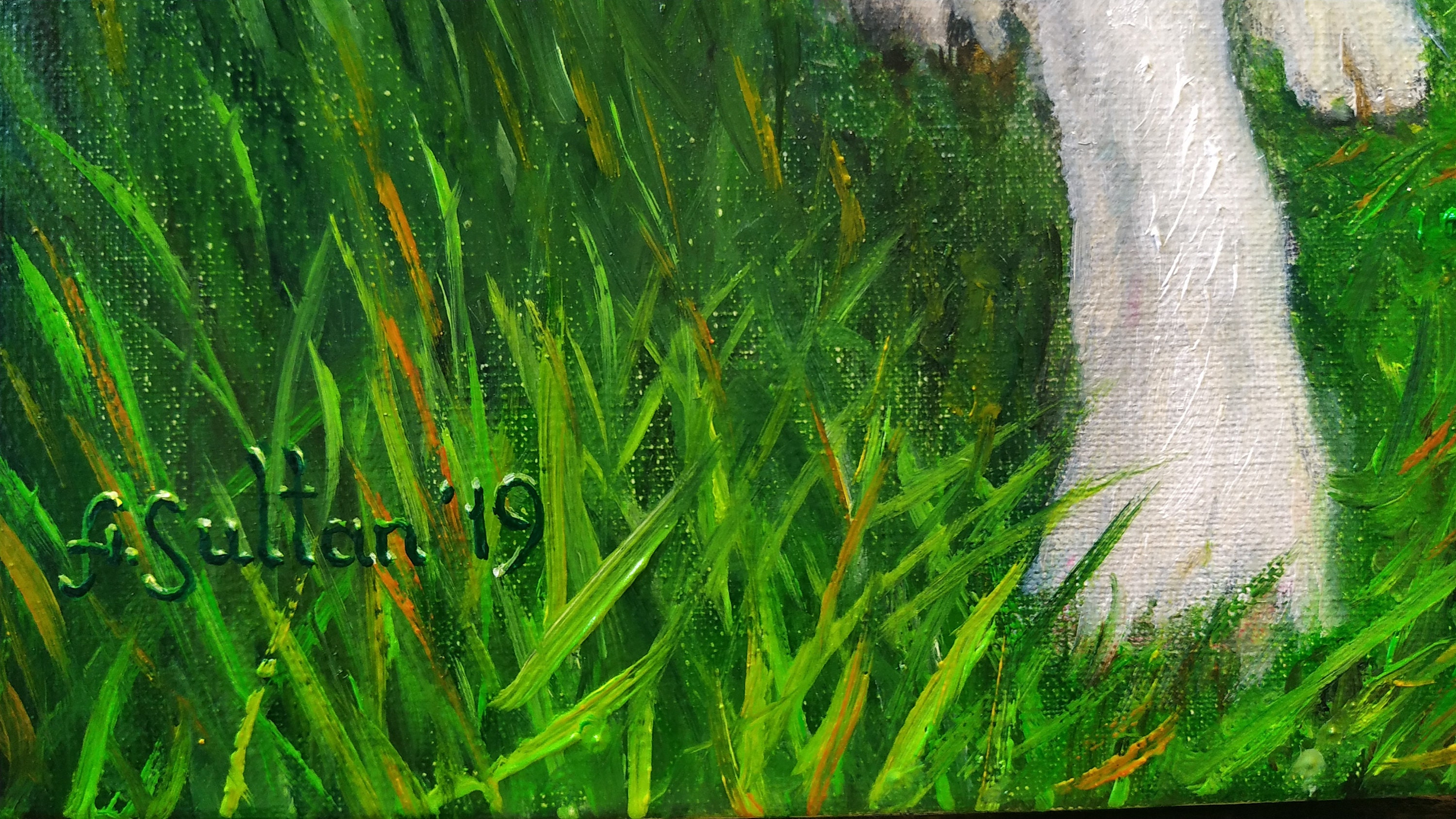 Custom Pet Portrait Oil Painting From Photo Personalized Pet | Etsy