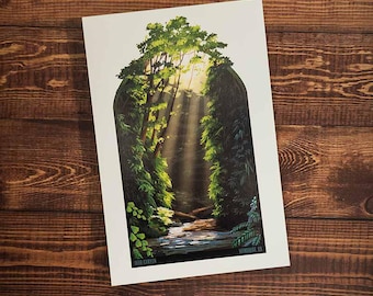 Postal de Fern Canyon