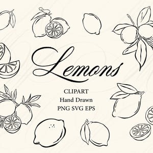 May include: Black and white line art of lemons, some whole, some sliced, and some with leaves. The word "Lemons" is written in cursive. Text below reads "Clipart, Hand Drawn, PNG SVG EPS".