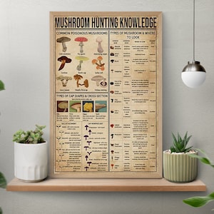 Poster vintage sulla conoscenza della caccia ai funghi, funghi velenosi comuni, tipi di funghi e dove cercare, stampa di funghi, poster sulla conoscenza