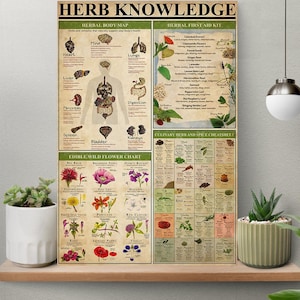 Kruid kennis poster, eetbare wilde bloemen grafiek poster, vintage botanische print, boerderij decor, boerderij decoratie, cottage kern kunst aan de muur